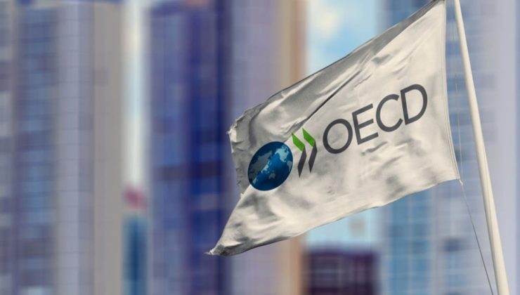 OECD’DEN DÜŞÜK REZERV UYARISI: TÜRK EKONOMİSİ ŞOKLARA KARŞI KORUMASIZ!