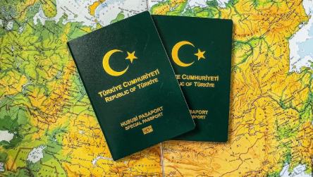 DİŞ HEKİMLERİ, VETERİNER HEKİMLER VE MİMARLARA YEŞİL PASAPORT!